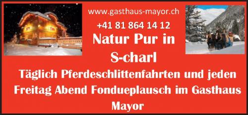www.gasthaus-mayor.ch