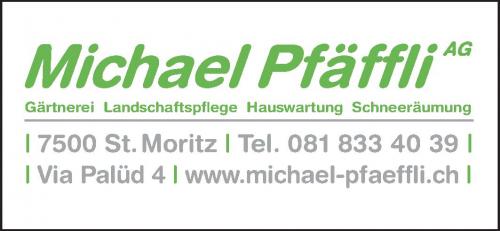 Michael Pfäffli